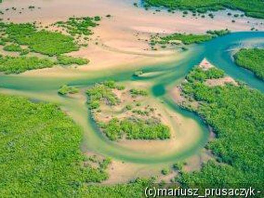 Senegal & Gambia: Kleingruppen-Rundreise ab/anDakar