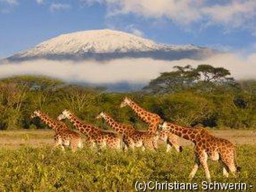 Kenia: Kleingruppen-Rundreise ab/an Mombasa