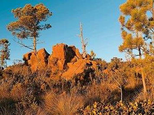 Naturabenteuer Dominikanische Republik