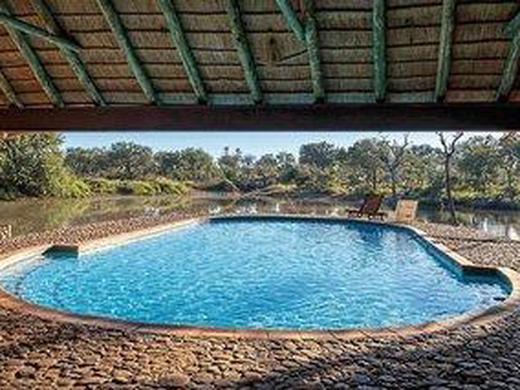 Safari Guide Experience