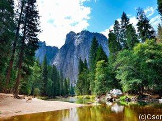 USA: Rundreise in Upgradehotels in New York & San Francisco inkl. 6 Nationalparks