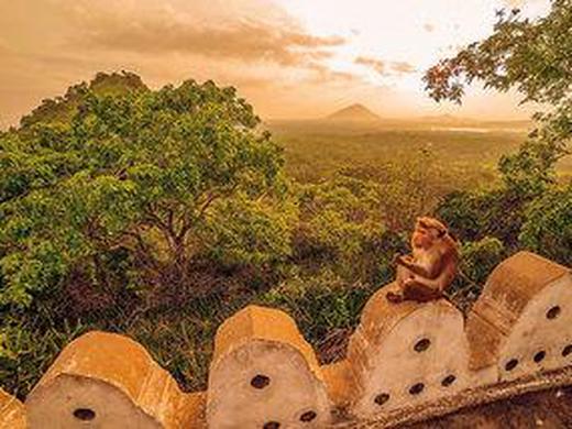 Sri Lanka hautnah erleben