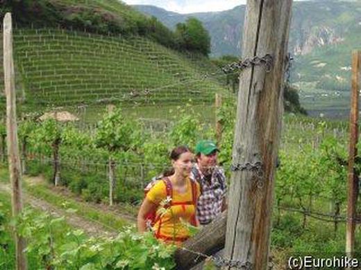 Italien - Südtirol: Wanderspaß von Waalwegen bis zum Knottnkino