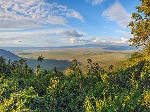 Rundreise Ngorongoro Krater Safari privat geführt