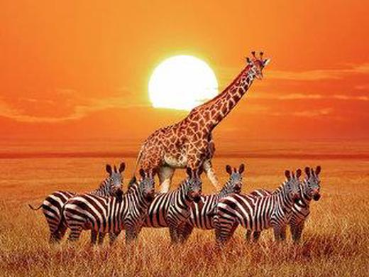 Rundreise Best of Tansania