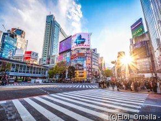 China & Japan: Von der Verbotenen Stadt bis zum Fuji