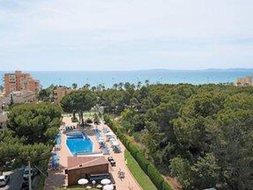 Mandelblüten-Inselzauber/Hotel Timor