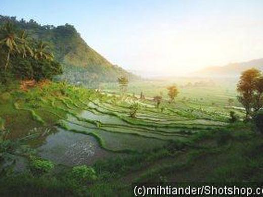 Indonesien - Bali: Zwischen Dschungelklängen und Wellenrauschen