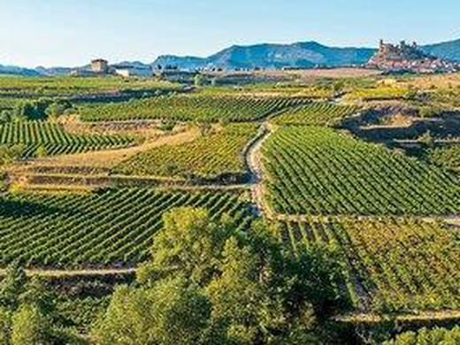 Nordspaniens Magie: Vom urbanen Bilbao zu den Weinträumen La Riojas