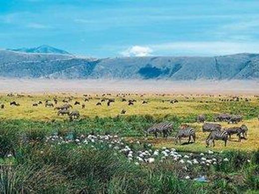 Tansania für alle Sinne (Privatreise)