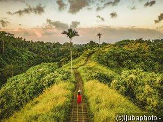 Indonesien - Java & Bali: Magische Momente zwischen Borobudur und Bromo Vulkan