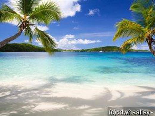 Transatlantik: Kreuzfahrt mit der MSC Opera von Barcelona bis La Romana