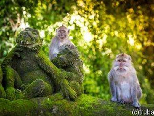 Indonesien - Bali: Kulturelle Schätze und tropische Landschaften