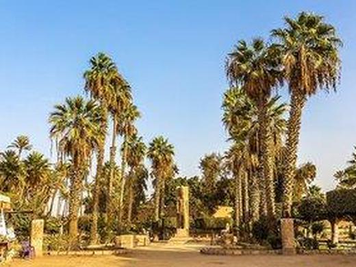 2T Kairoprogramm Mykerinos & 6T Baden Pickalbatros Citadel Resort