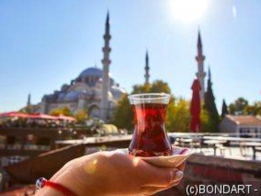 Östliches Mittelmeer: Kreuzfahrt mit der MSC Orchestra ab/an Istanbul inkl. Kappadokien-Rundreise