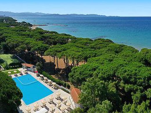 The Sense Experience