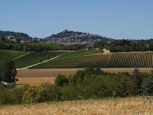 Agriturismo al Colle