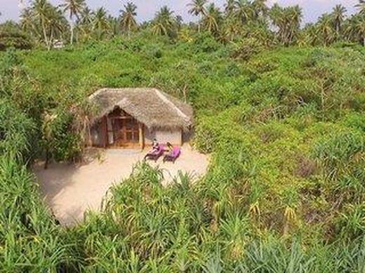 Jungle Beach Camp Ahungalla