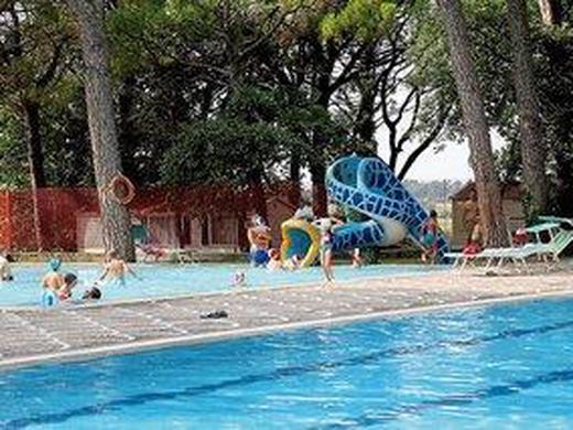 Camping Belvedere Pineta