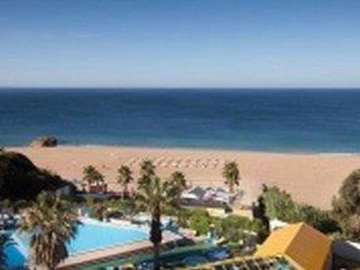 MONICA ISABEL BEACH CLUB